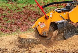 Lawn Drainage Solutions in River Oaks, TX